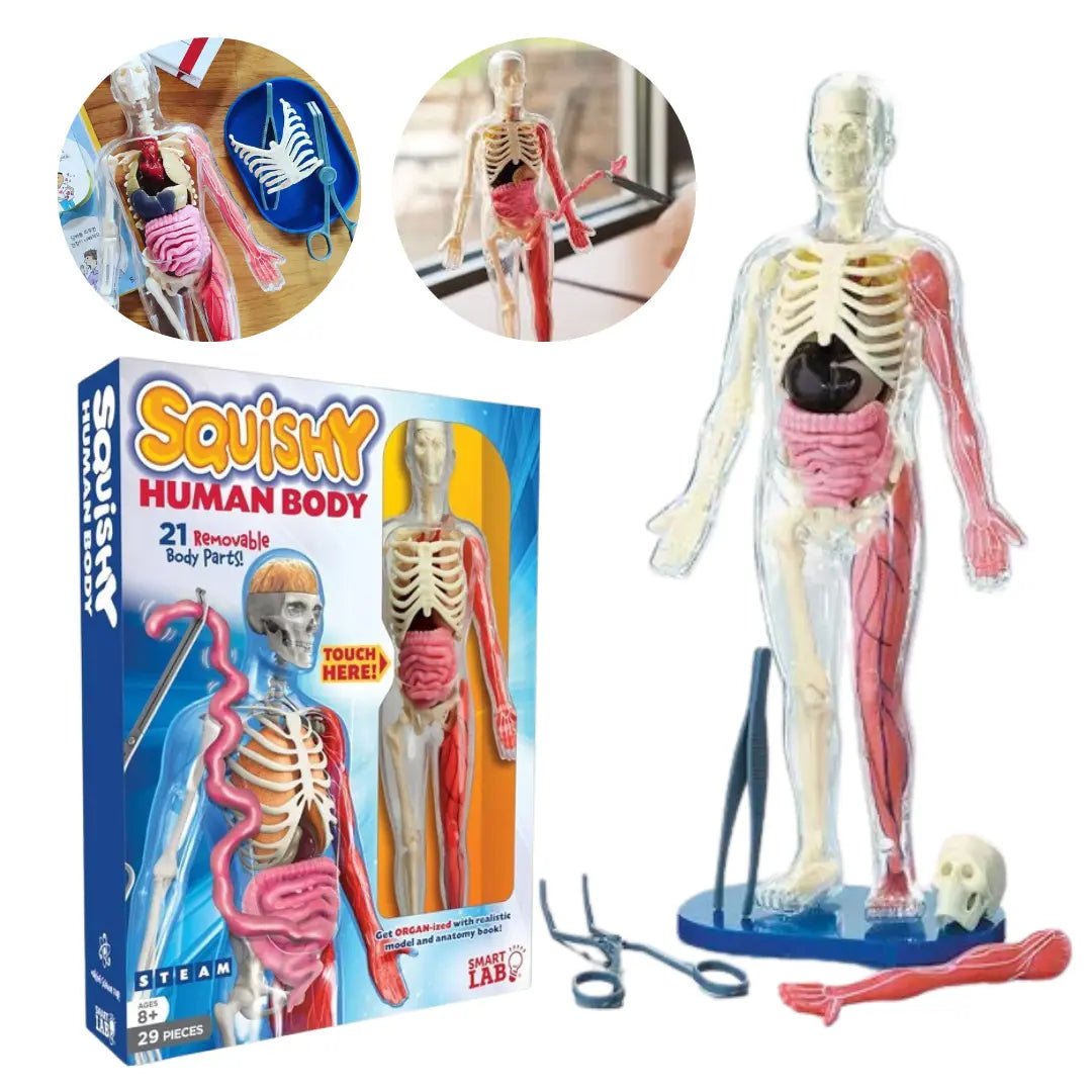 Kit Corpo Humano 3D Montessori - Aprenda Brincando